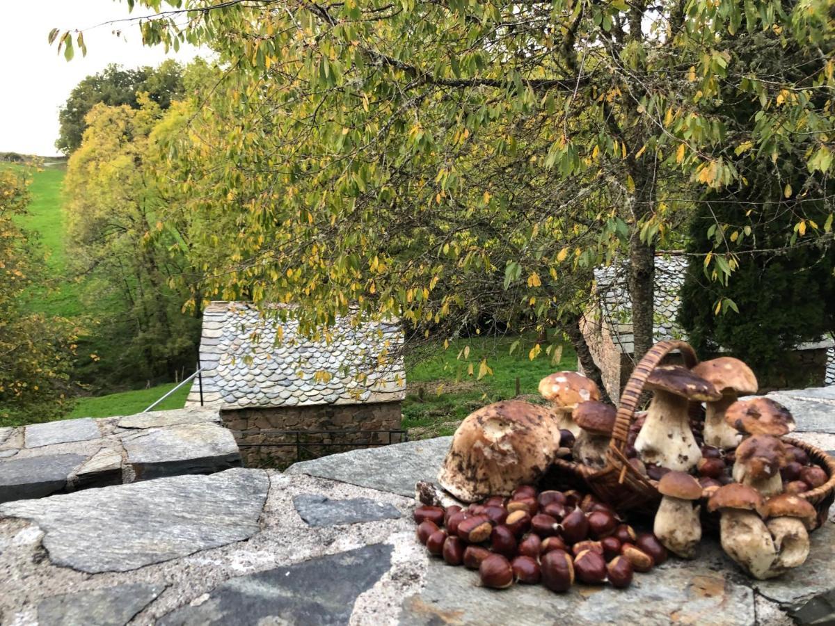 La Maison De Mon Pere Le Nayrac Екстер'єр фото